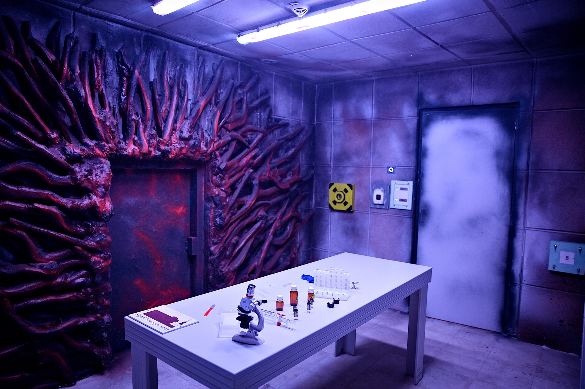 Unlock Secrets: Private Escape Room for Up to Four, Six, Eight or Ten