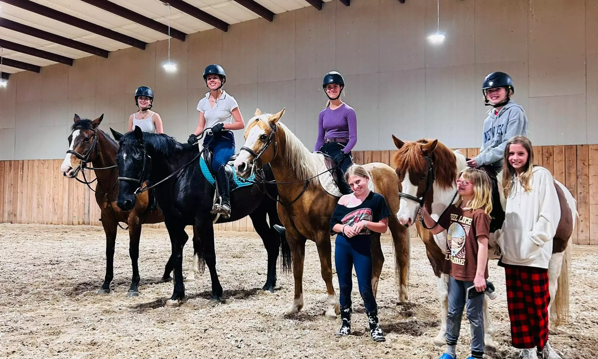 Up to 50% Off on Horse Back Riding - Training at LinK Equestrian - Primary Image