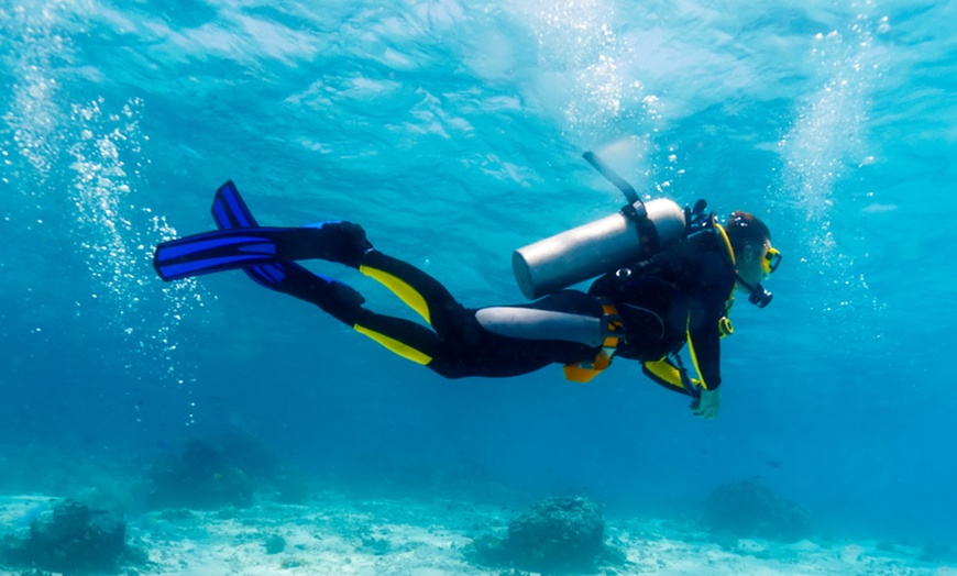 Image 1: Two-Day PADI Scuba Diving Course