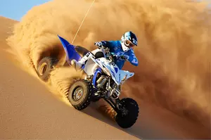 Desert Safari with 30-Minute Quad Bike Ride and Centralised or Doorstep Transfer for Up to Six with Desert Lion Tourism