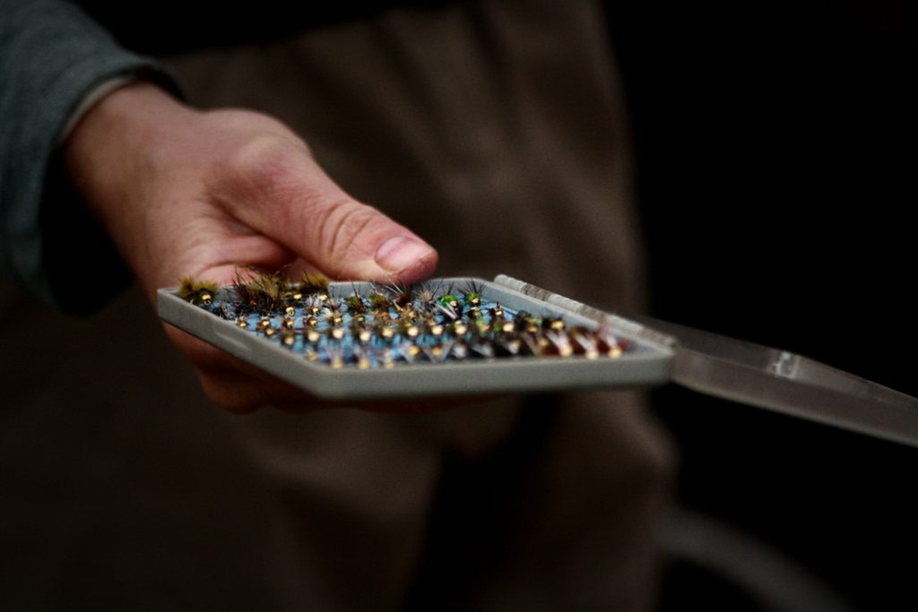 Learn Fly Fishing with Expert Guidance in Northern Colorado