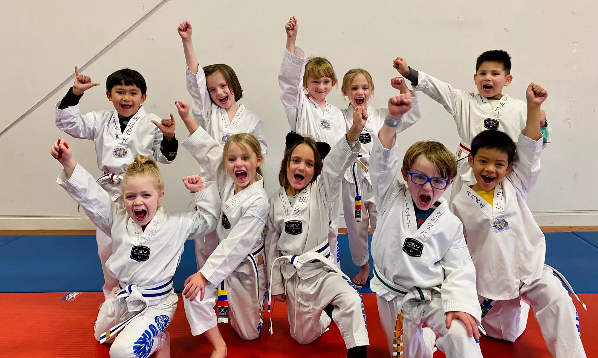 Up to 15% Off on Martial Arts / Karate / MMA at Master Kwon's World Class Tae Kwon Do - Primary Image