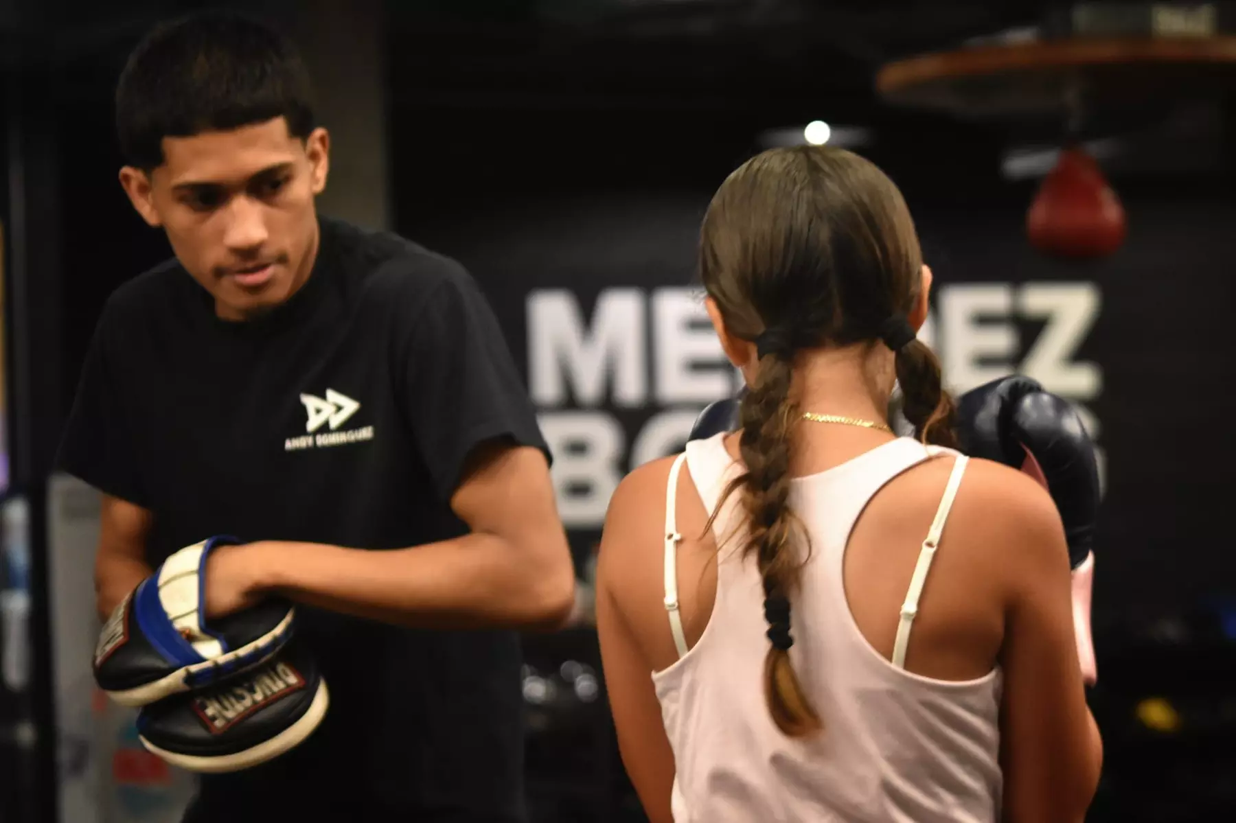 Four Classes of Boxing Training at Mendez Boxing Harlem