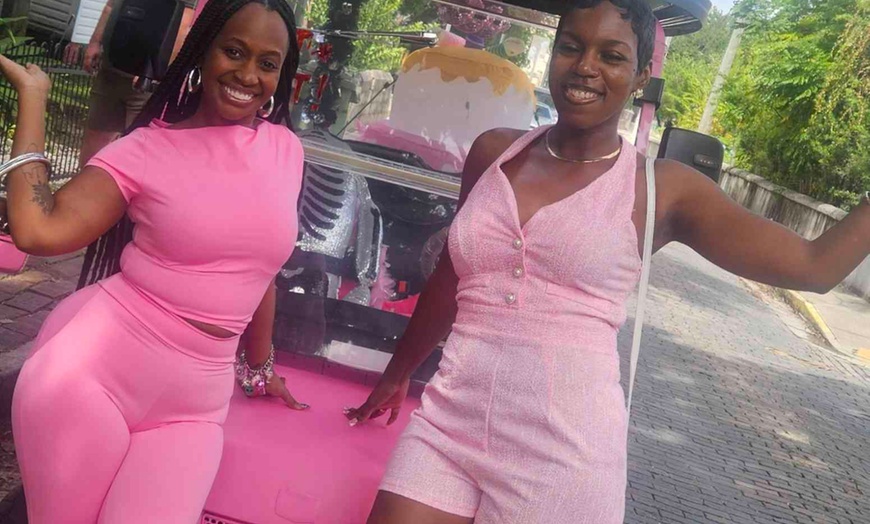 Image 3: Up to 20% Off on Wine / Vineyard Tour at Serendipity Wine 