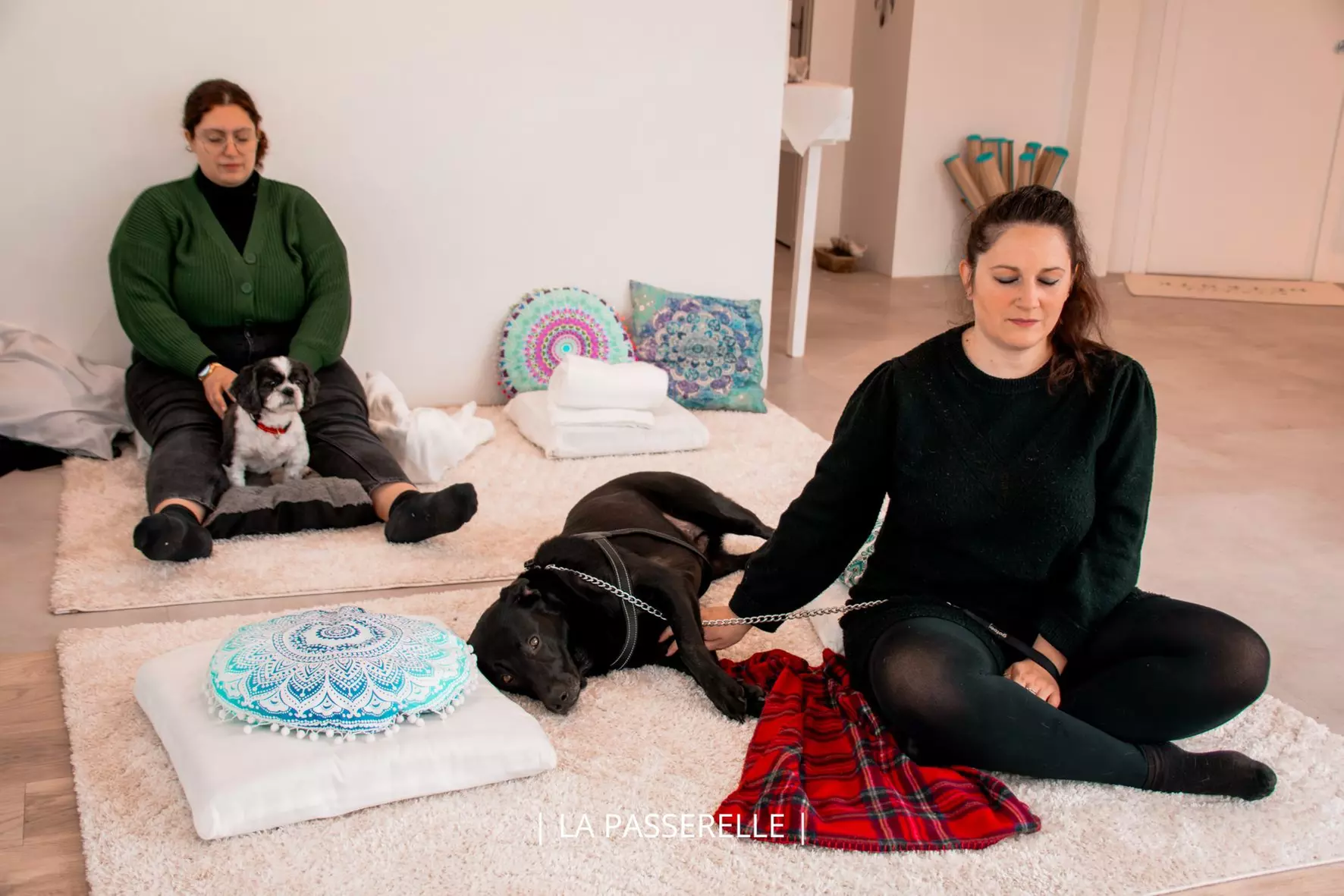 Soin Reiki animal ou communication animale avec La Passerelle