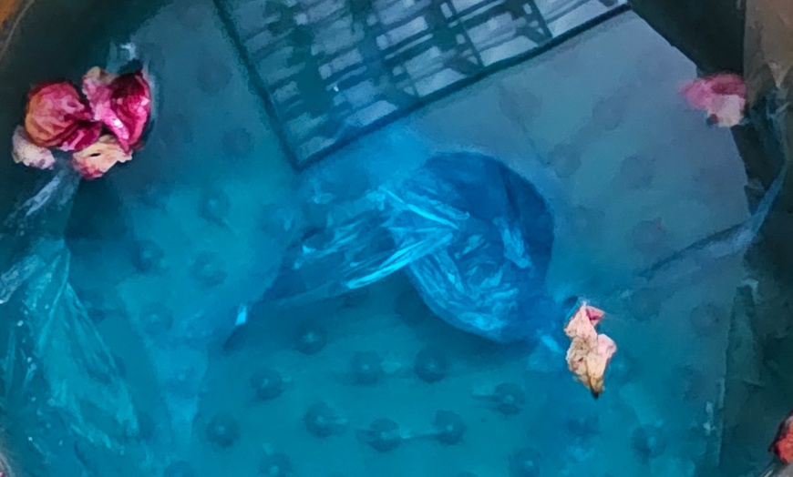 Image 3: Relax and Refresh with a 60-Minute Foot Detox Reflexology