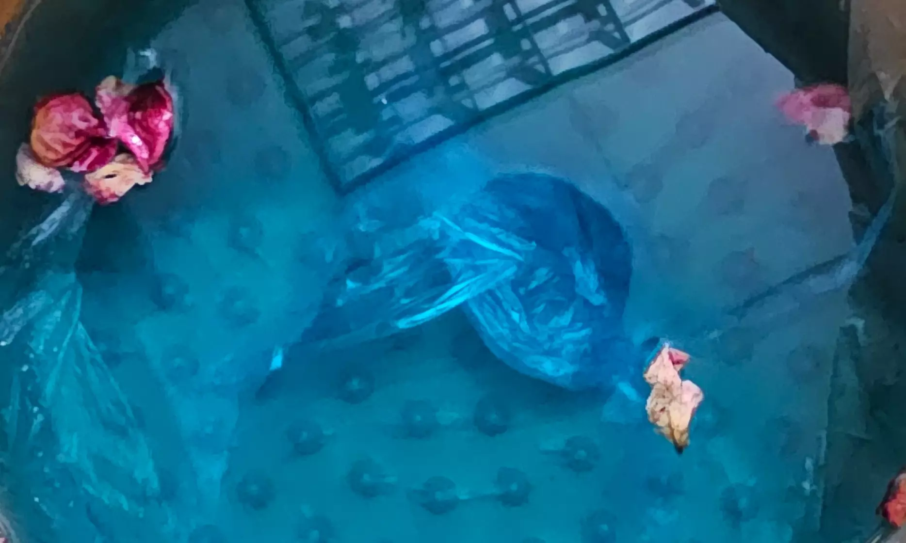 Relax and Refresh with a 60-Minute Foot Detox Reflexology