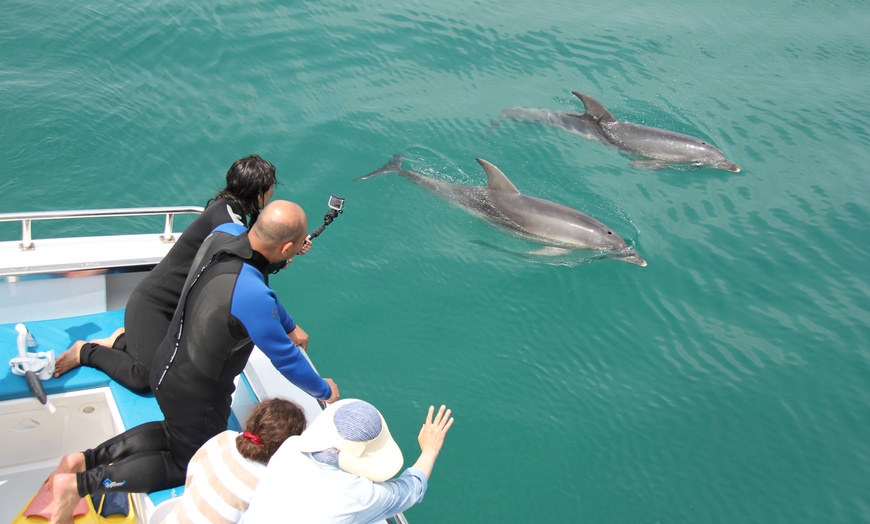 Image 7: Enjoy a 1.5 Hour Wildlife and Scenic Cruise Along the Coast