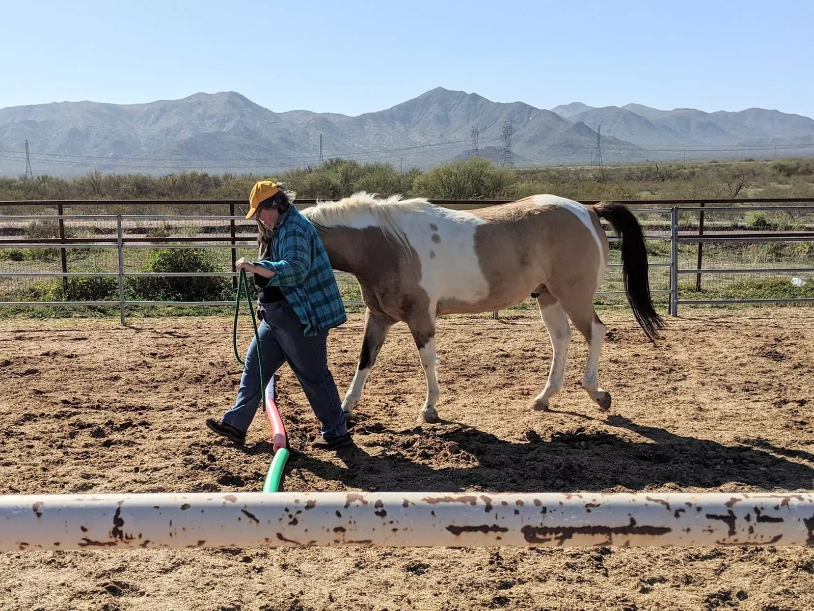 Up to 35% Off on Horse Back Riding - Recreational at Colors of the Desert Horse Ranch - Second Medium