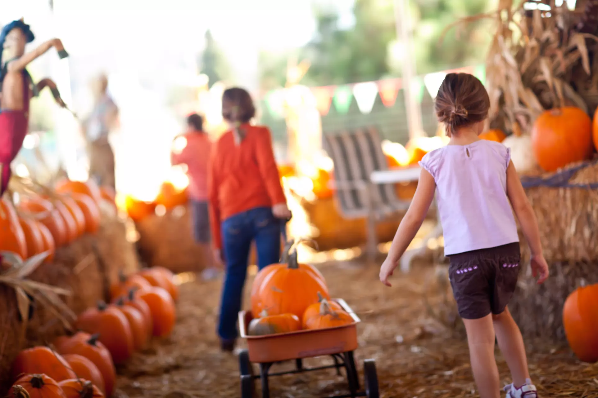 Desert Farm Lights - Holiday Festival Admission for Two