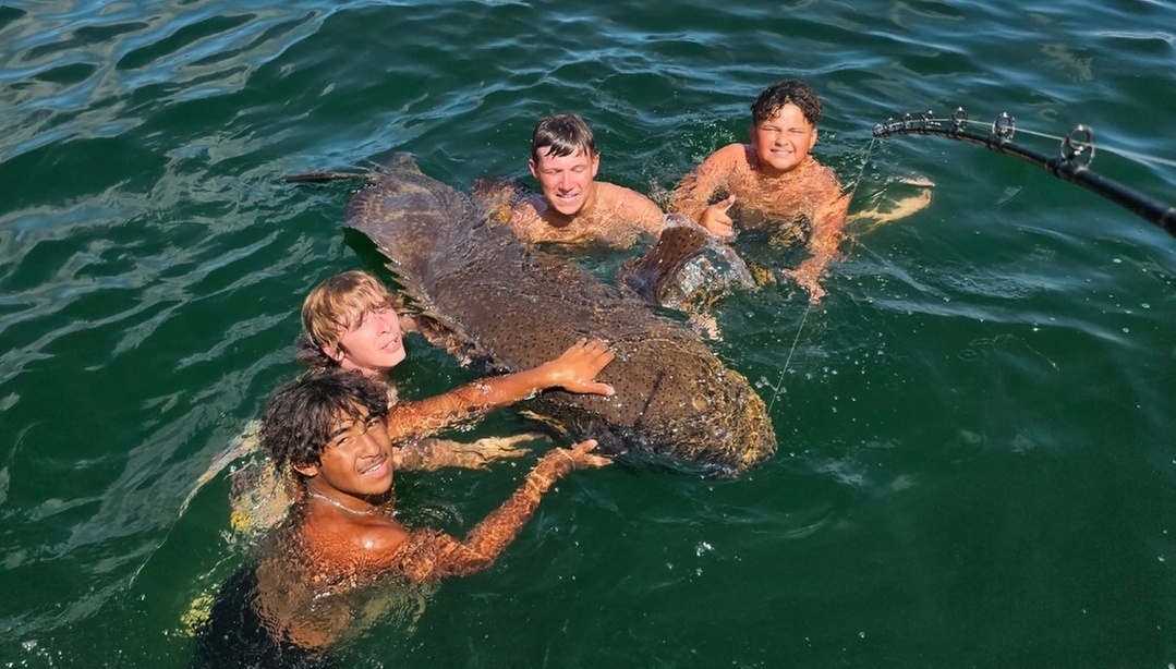 Inshore or Nearshore 1/2 Day Fishing Charter for Up to 4 Anglers