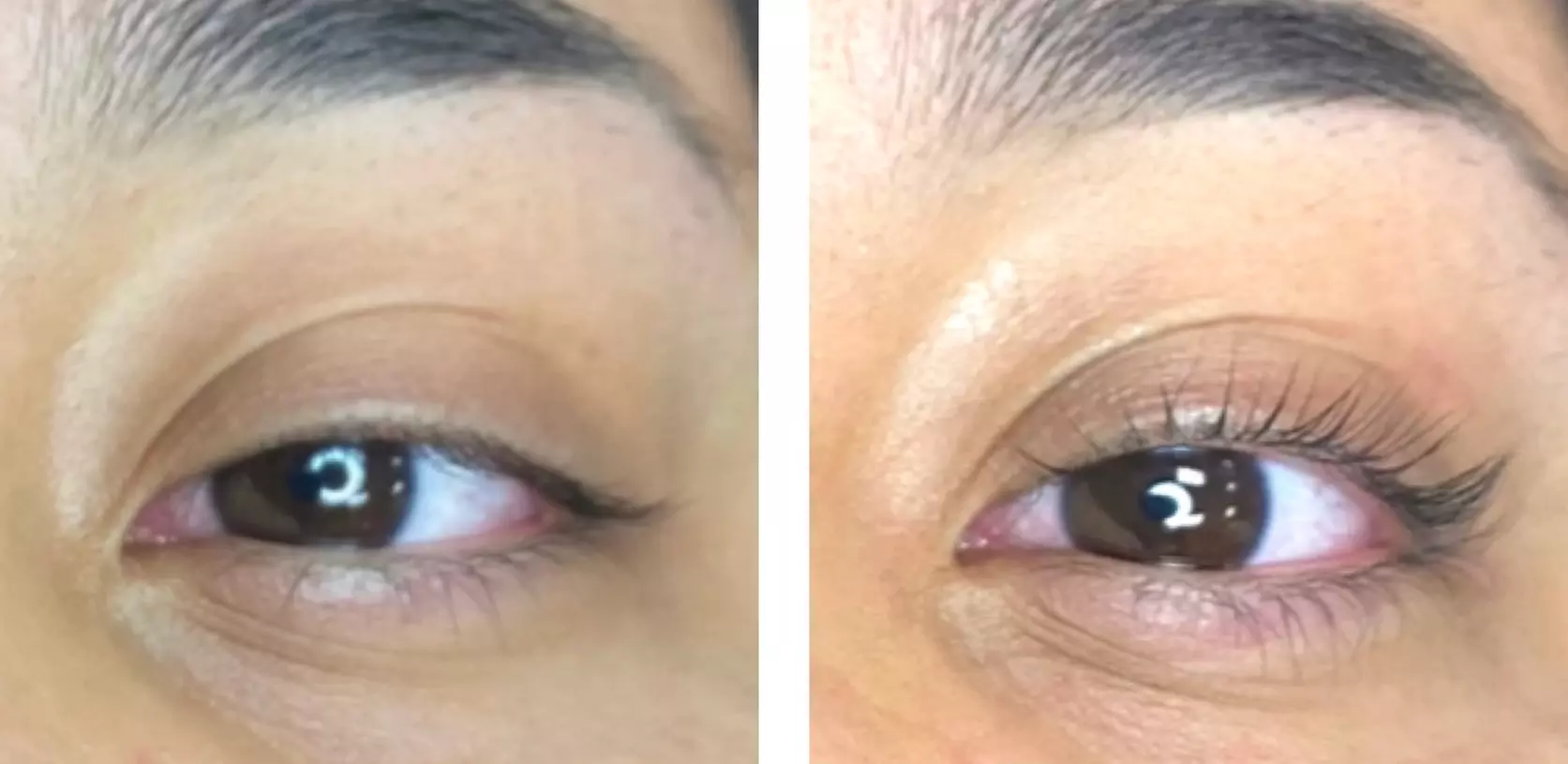 Effortless Beauty with Eyelash Lift or Tint & Lift Combo