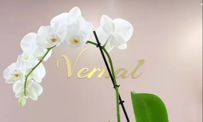 Up to 58% Off on Radio Frequency Skin Tightening at Vernal Aesthetics Skincare - Second Medium