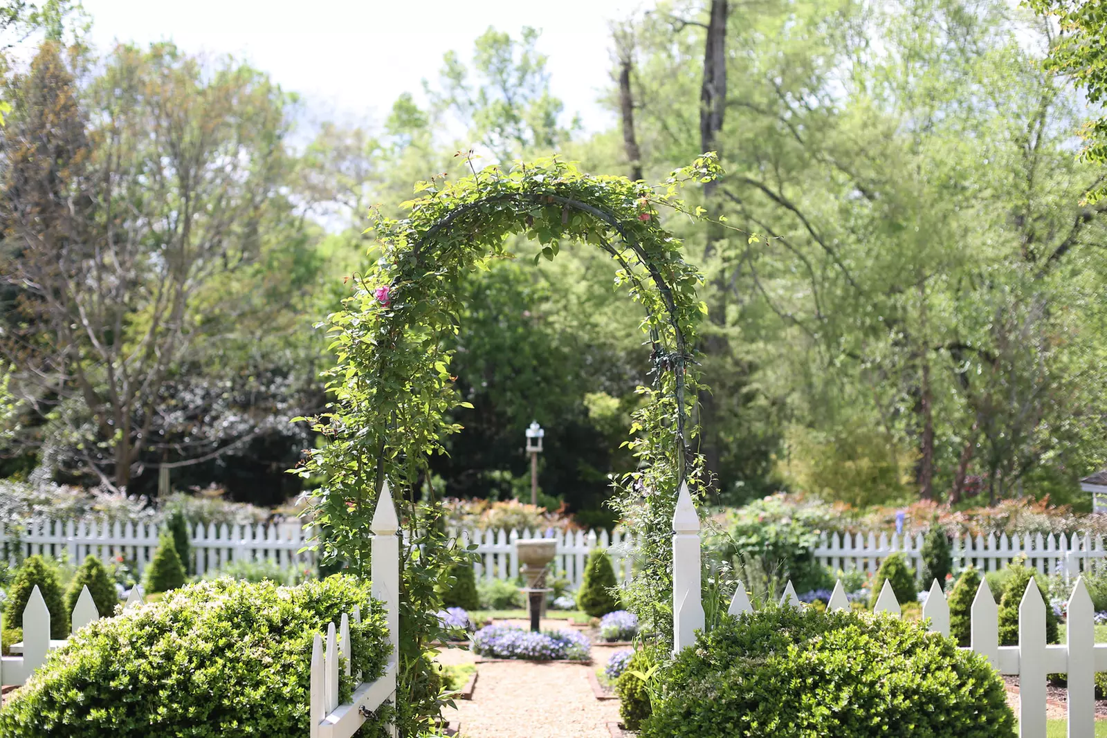 Explore Tuckahoe: Guided Tours for Groups of 4, 6, or 8