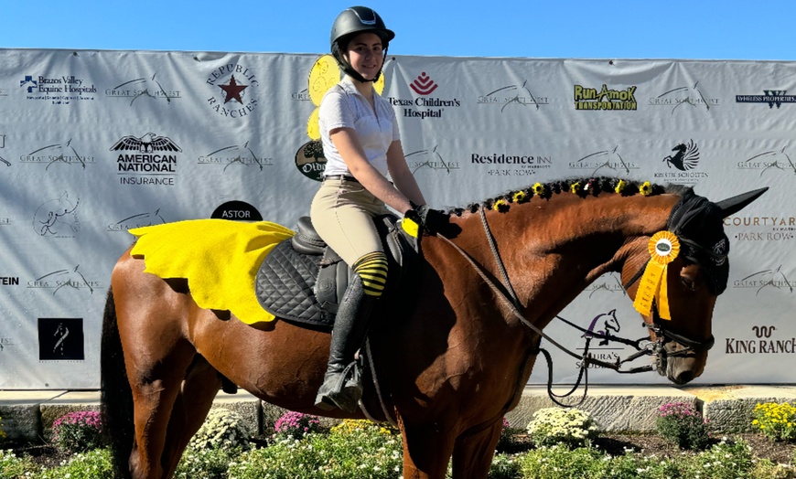 Image 6: Up to 25% Off on Horse Back Riding at Imperial Sporthorses