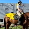 Image 5: Up to 25% Off on Horse Back Riding at Imperial Sporthorses