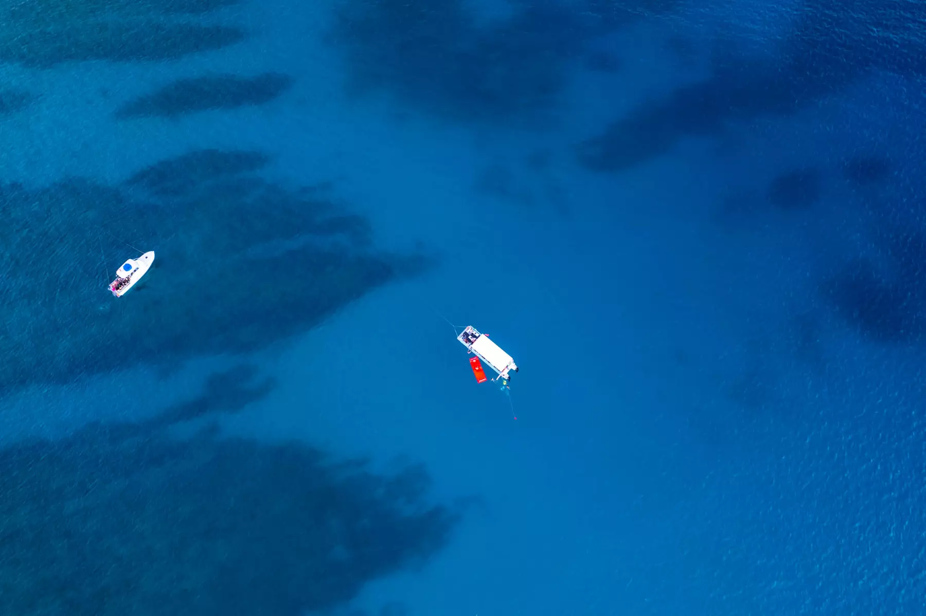 Up to 55% Off on Snorkeling at Honolulu Snorkel Company