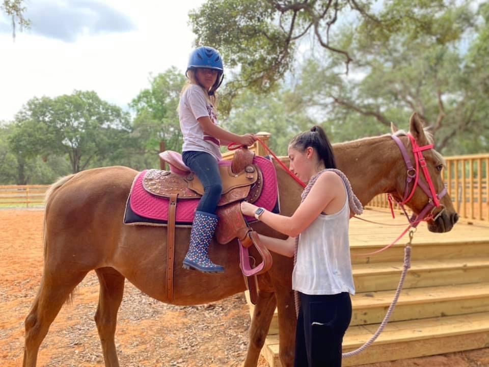 Beginner Horseback Riding Lessons for Adults and Kids
