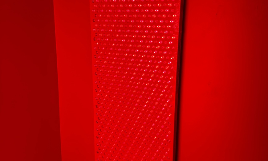 Image 2: Up to 75% Off on Infrared Therapy at Dresselhaus Chiropractic Center