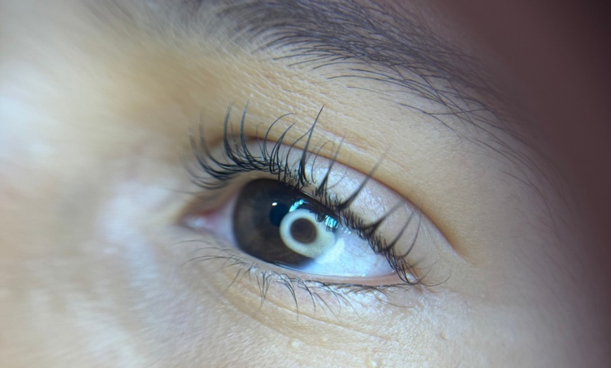 Image 1: One Eyelash Lift w/ a choice of Tinting Treatment