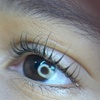 Image 1: One Eyelash Lift w/ a choice of Tinting Treatment
