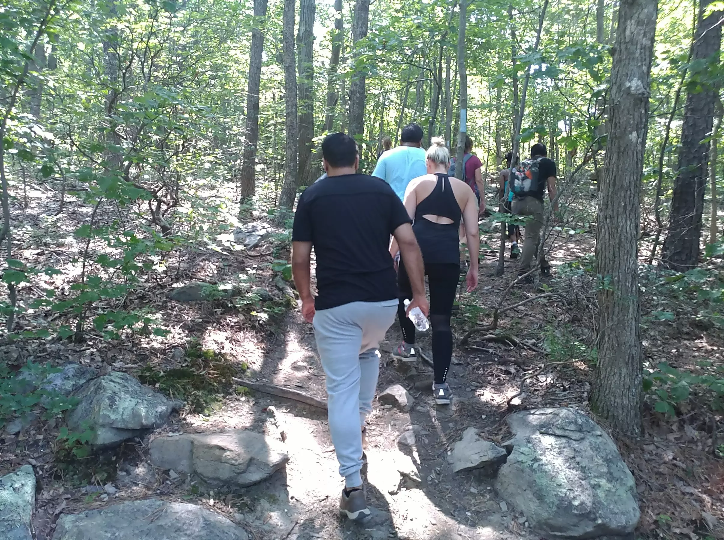 Discover Wine Excursions: Virginia Hike, Lunch & Wine Tour Options with up to 48% Off - Second Medium