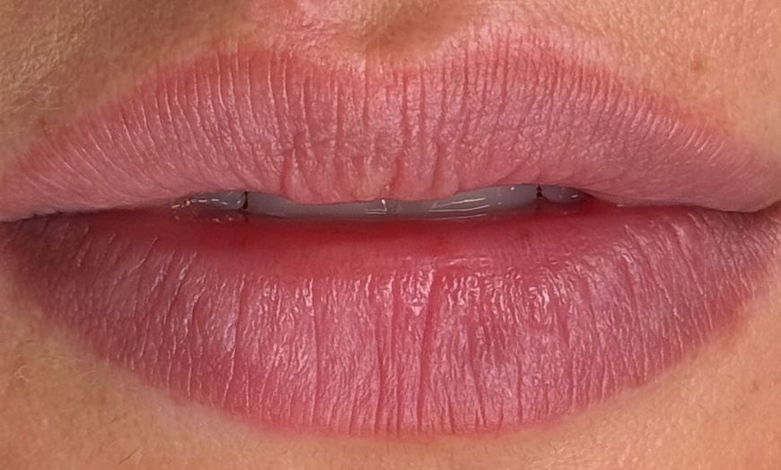 Image 4: Enhance Your Natural Beauty with Permanent Brows & Lip Blushing