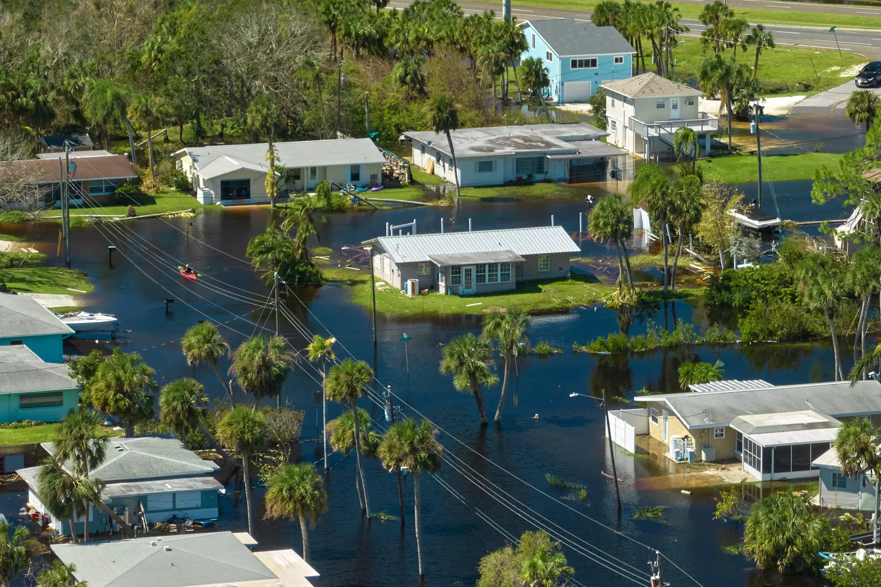 Enjoy a 1-Year Subscription to RecoverIT with business or household plans up to 20% off, ensuring asset protection. - Image 5