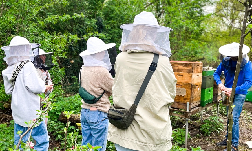 Image 2: Naturerlebnis Bienenevent - Tauche ein in die Welt der Bienen