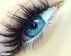 Up to 50% Off on Eyelash Extensions at Soft Glam Lash Brow Studio