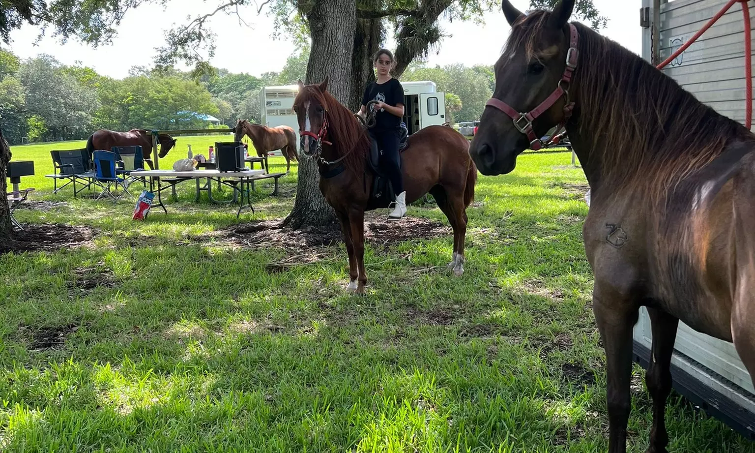 Up to 13% Off on Horse Back Riding at Horizon Horses and More
