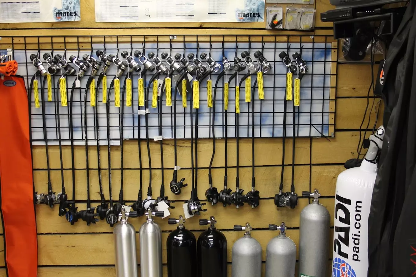 Up to 58% Off on SCUBA at Sea The World