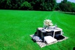 Up to 10% Off on Romantic Dinner at Shionna Luxxure Picnic - Second Medium
