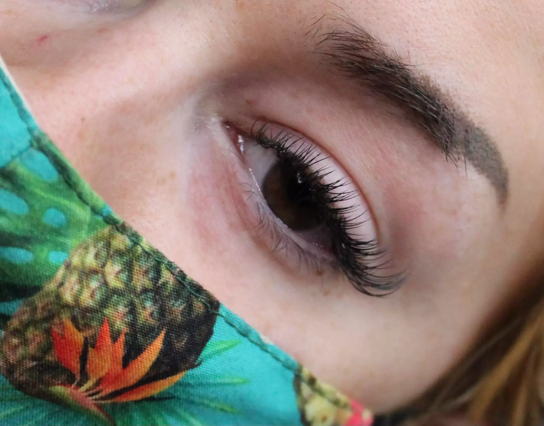 Up to 20% Off on Eyebrow Extensions at Alchemist Artistry - Primary Image