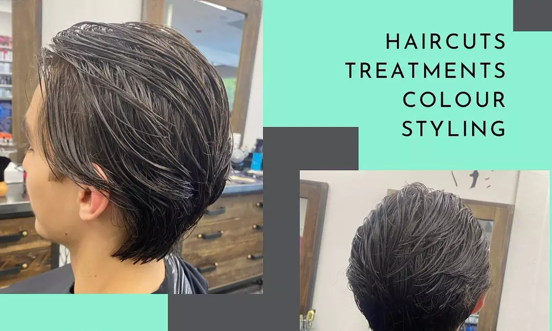 Haircut or Trim w/ Shampoo/Roots Touch Up/Full Color & Blow Dry