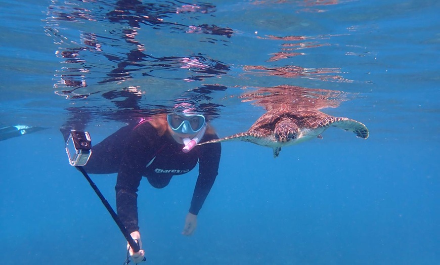 Image 5: Snorkeling Adventure with Complimentary Photos Included