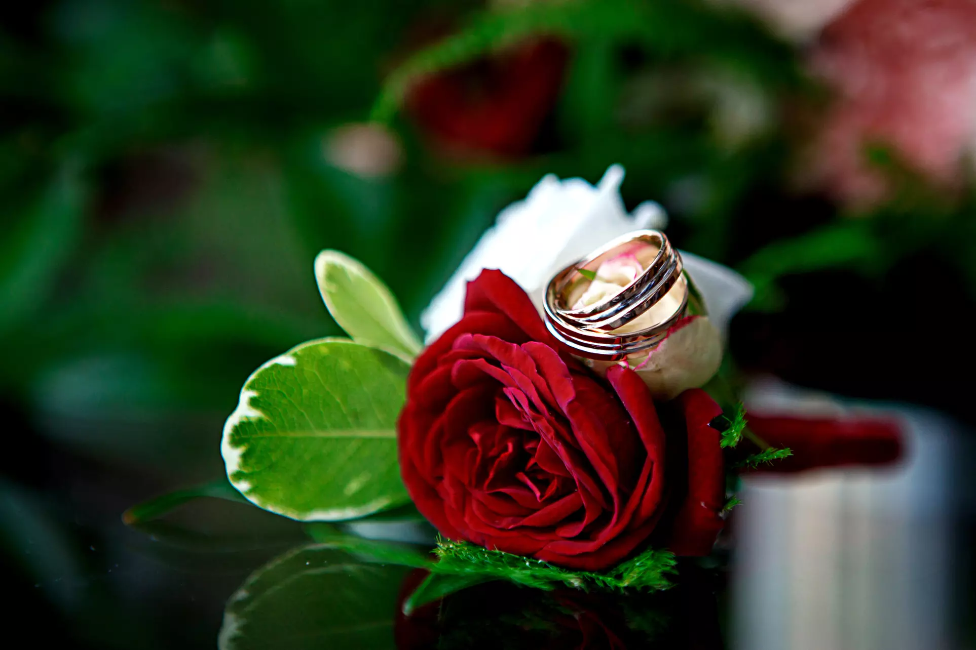 2 Std. oder 4 Std. Hochzeitsfotografie inkl. 5 Fotos als Ausdruck