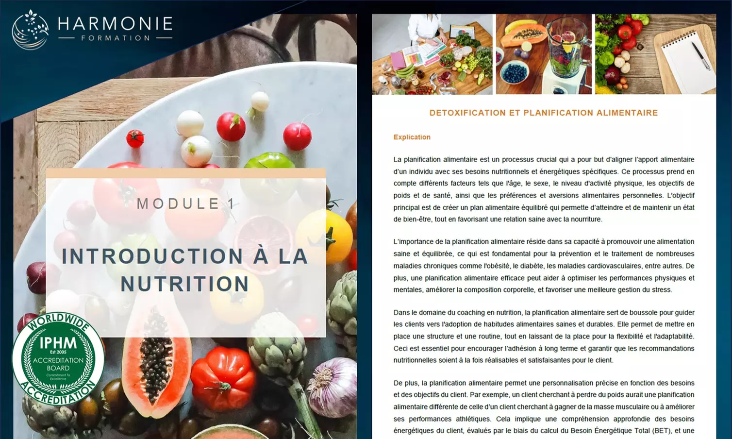 Apprendre la nutrition à son rythme, 100 % en ligne