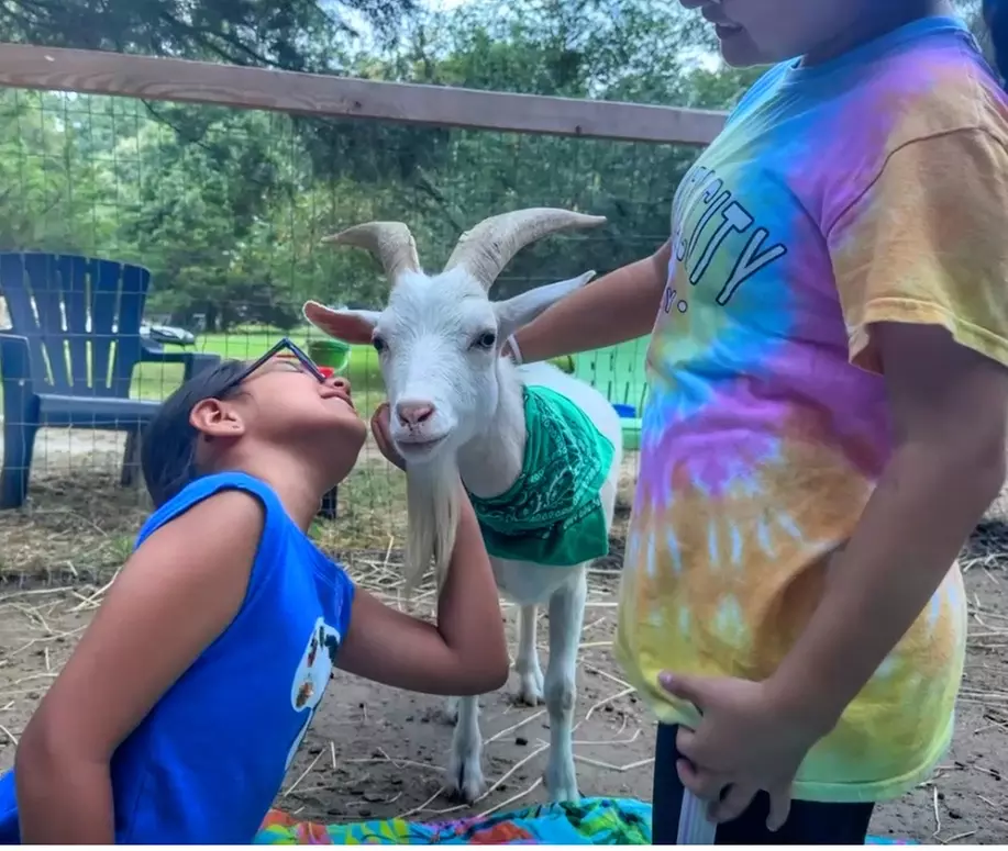 Cute Goats Cuddle Session Tickets to Rescue Ranch Petting Zoo