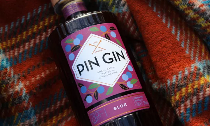 Enjoy a Gin School Experience for One, or Two