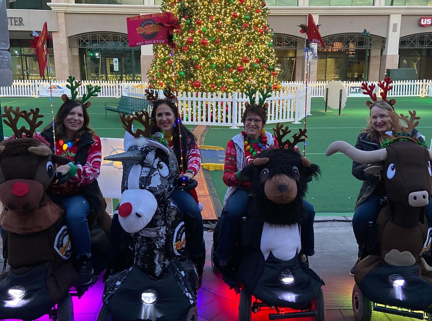 Rydables Holiday Lights Tour for One, Two, or Kid Rides Shotgun