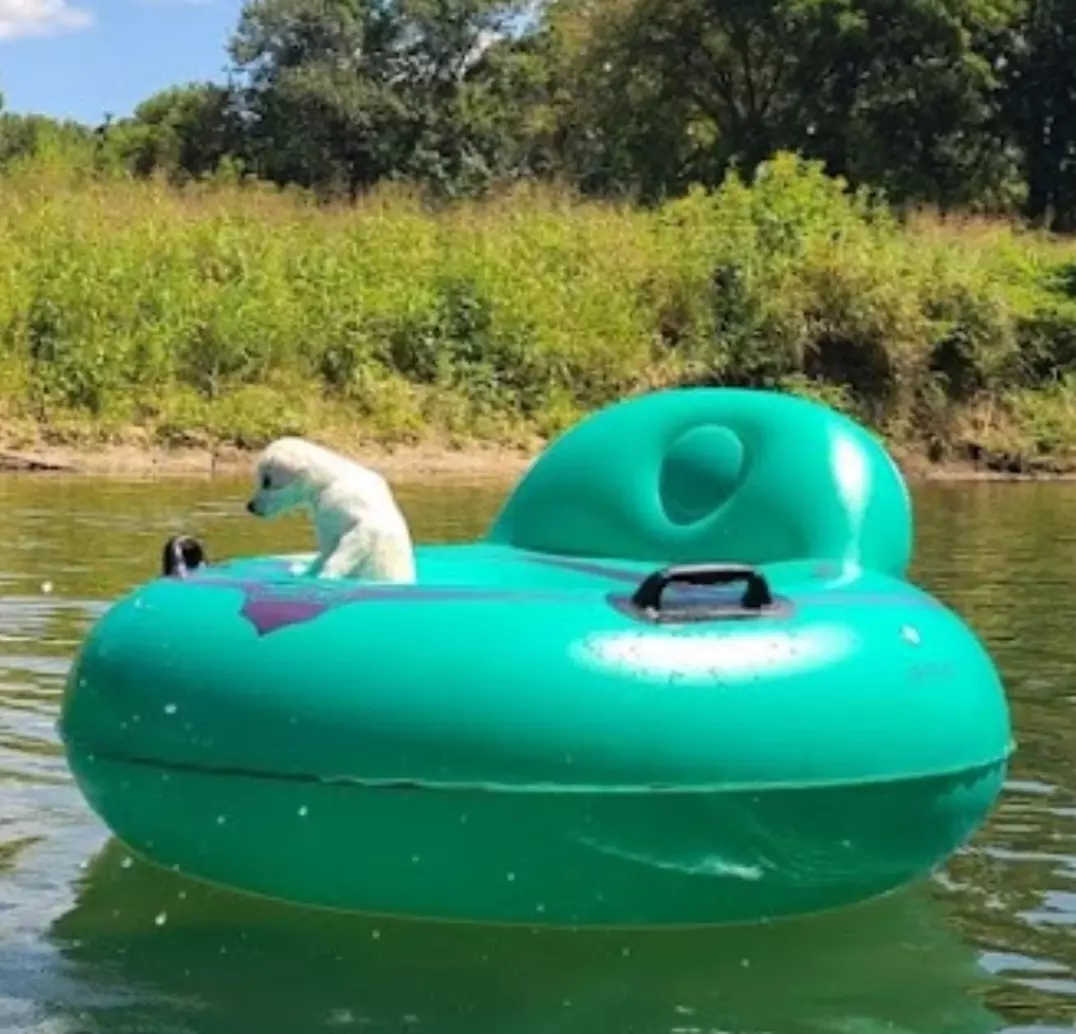 Up to 50% Off on Camping package at Camp Tomahawk Tube Float and water adventure - Primary Image
