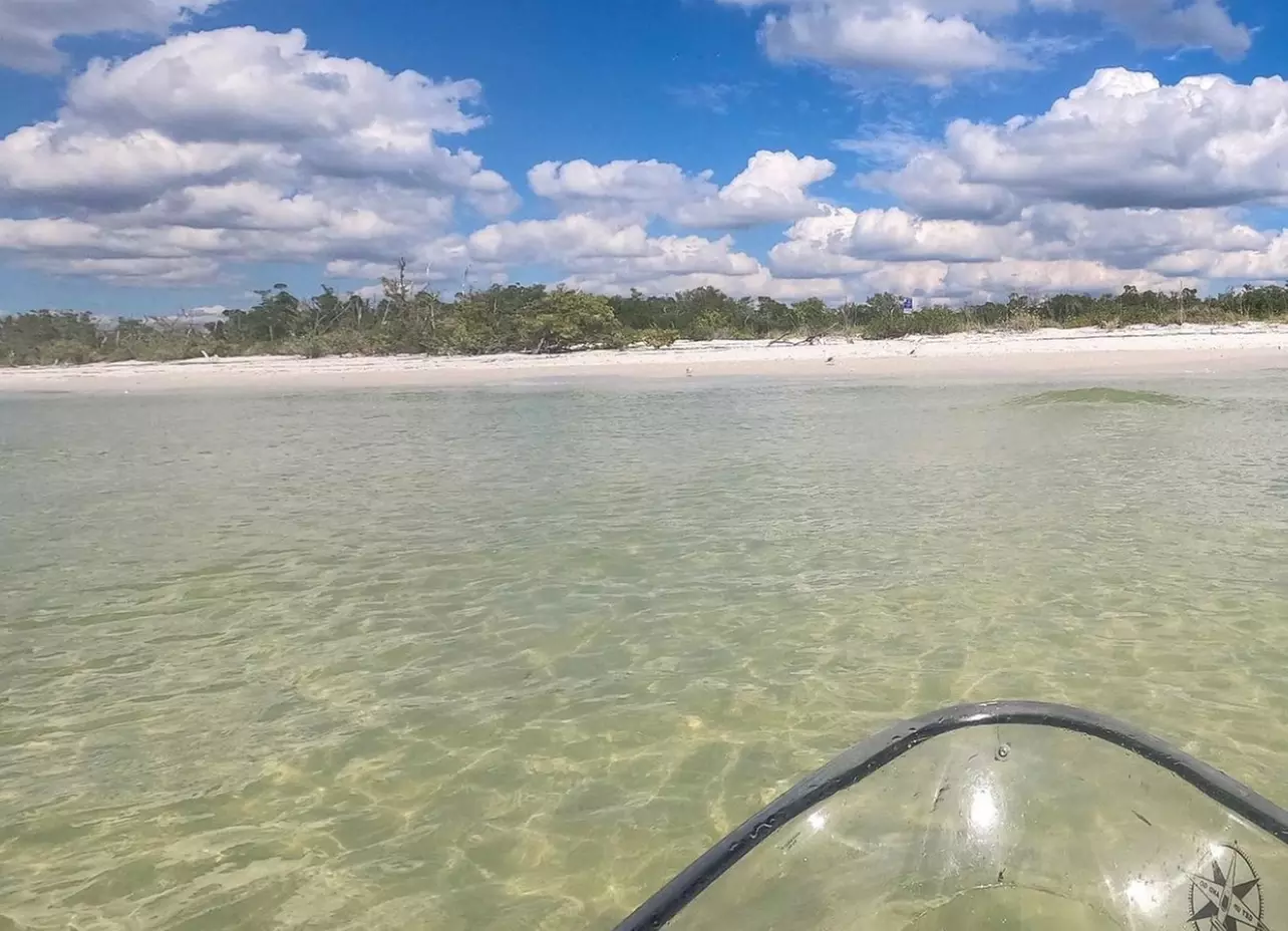 Explore Gulf Coast with Clear Kayak Rentals for Two Hours