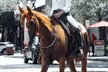 Private Horseback Riding Lessons – Embrace the Texas Ranch Life - Second Medium