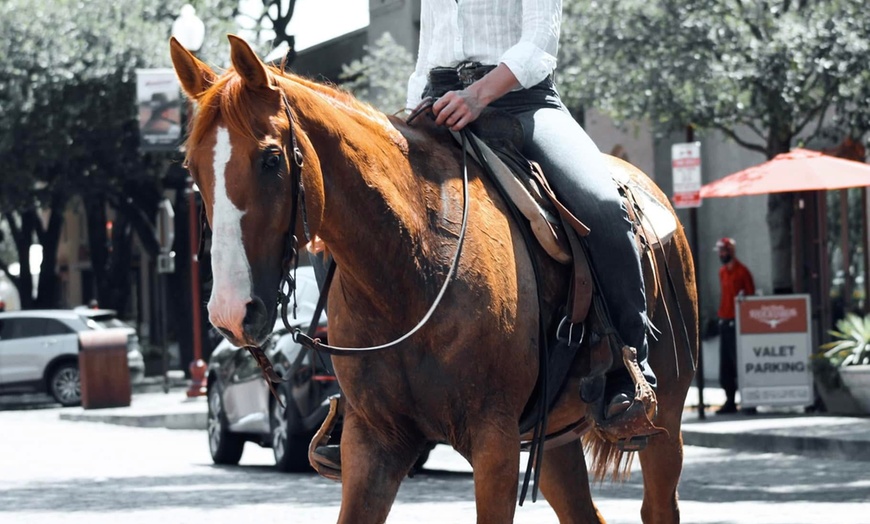 Image 2: Private Horseback Riding Lessons – Embrace the Texas Ranch Life