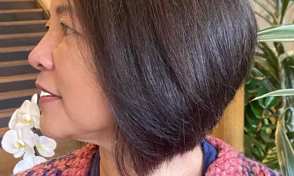 Up to 20% Off on Salon - Hair Color / Highlights - Roots at LillyAnne Redington
