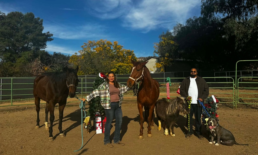 Image 2: Romantic Valentine's Day Horseback Ride – Starlight Acres