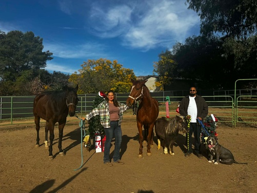 What to expect media