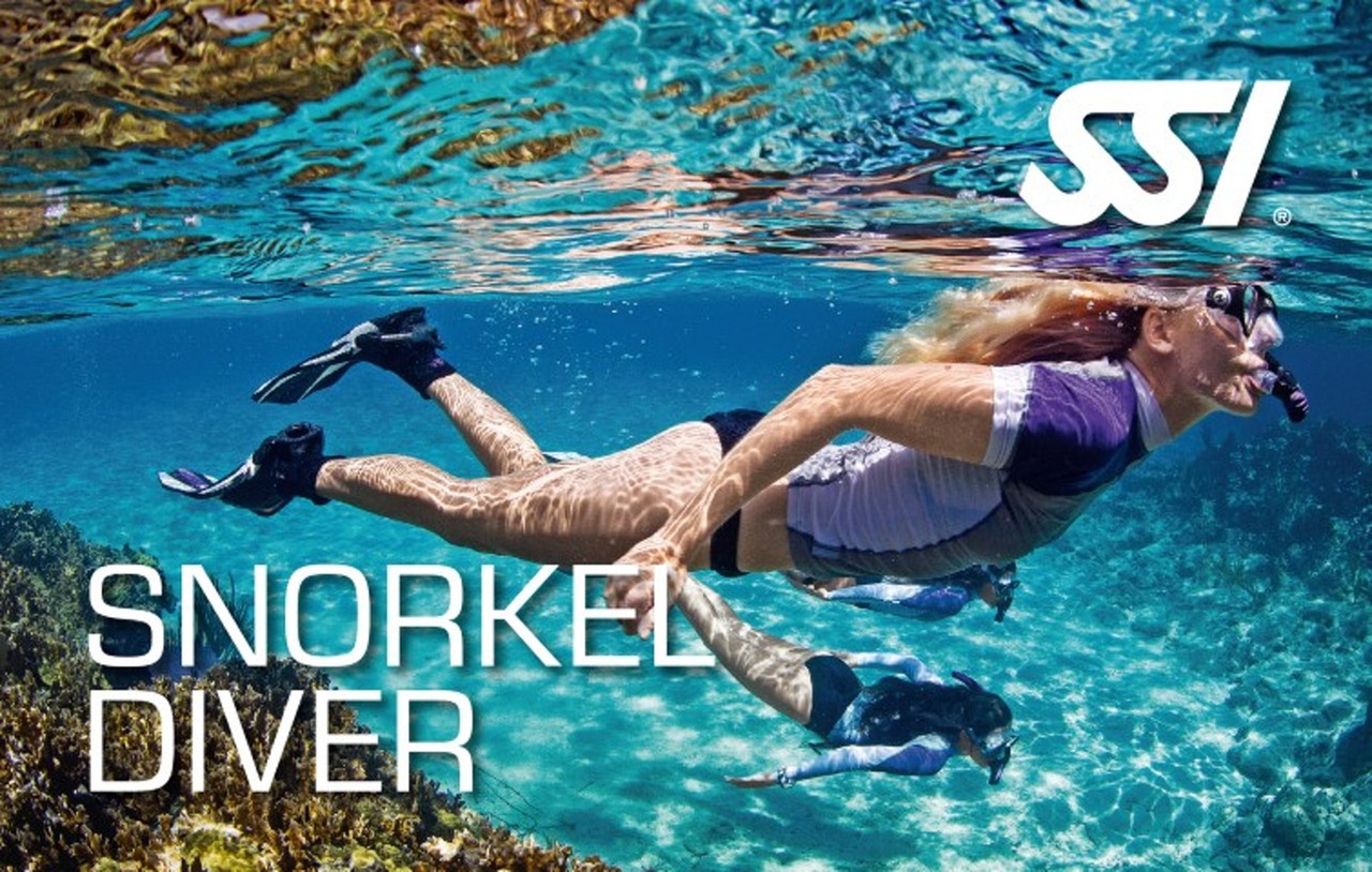 Discover Snorkeling with 60-Minute SSI Try Snorkel Lessons