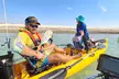 Up to 50% Off on Kayak Rental at Maui Kayak Shop - Image 2